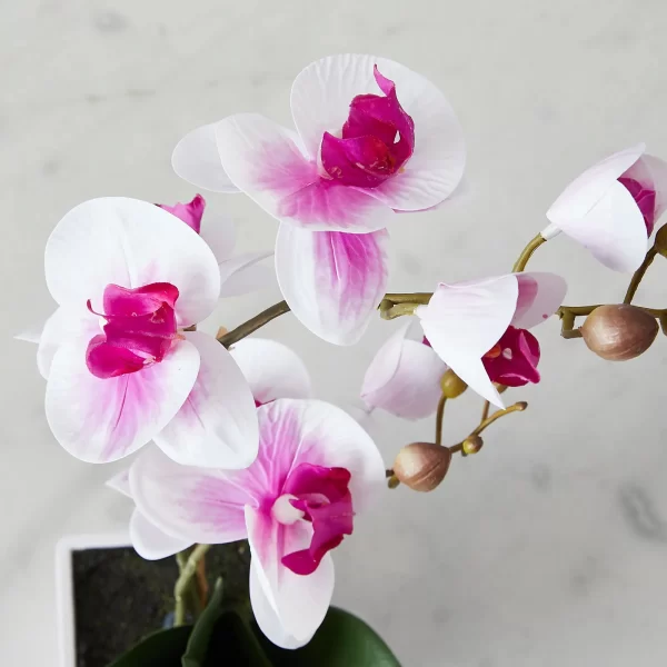 44cm Phalaenopsis Decorative Plant With Pot