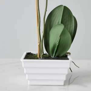 44cm Phalaenopsis Decorative Plant With Pot