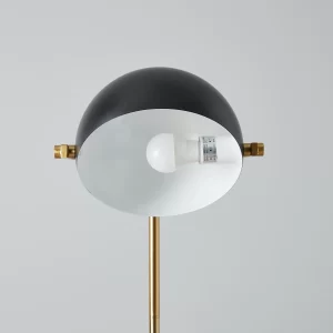 Carly Brushed Gold Metal Floor Lamp Black Metal Shade