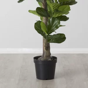 Fiddle Leaf Tree 190cm Decorative Plant