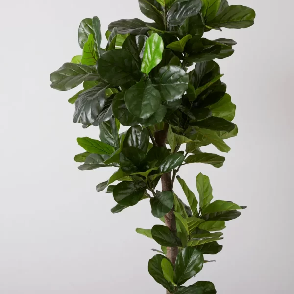 Fiddle Leaf Tree 190cm Decorative Plant