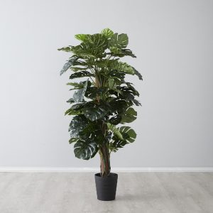 Monstera II 180cm Decorative Plant