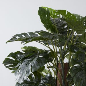 Monstera II 180cm Decorative Plant