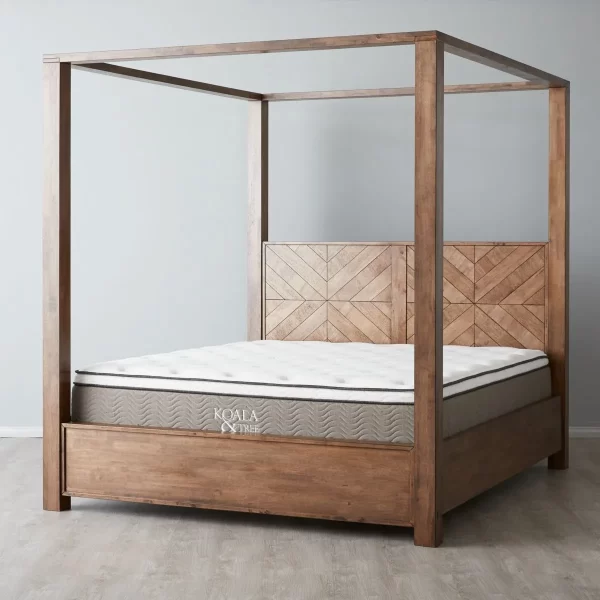 Regina Wooden Veneer Queen Bed1